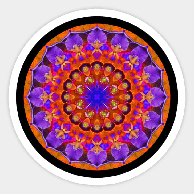 Mandala Magic: Daily Focus 8.5.2023 Sticker by Mandala Magic